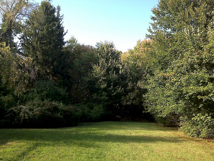 Future site of ProcessHouse?